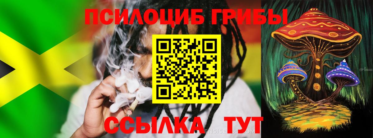 где продают   Псилоцибиновые грибы ЛСД  Вход с VPN  Заречный 